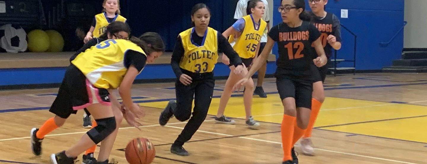 Girls Bulldogs and Tigers compete in Basketball